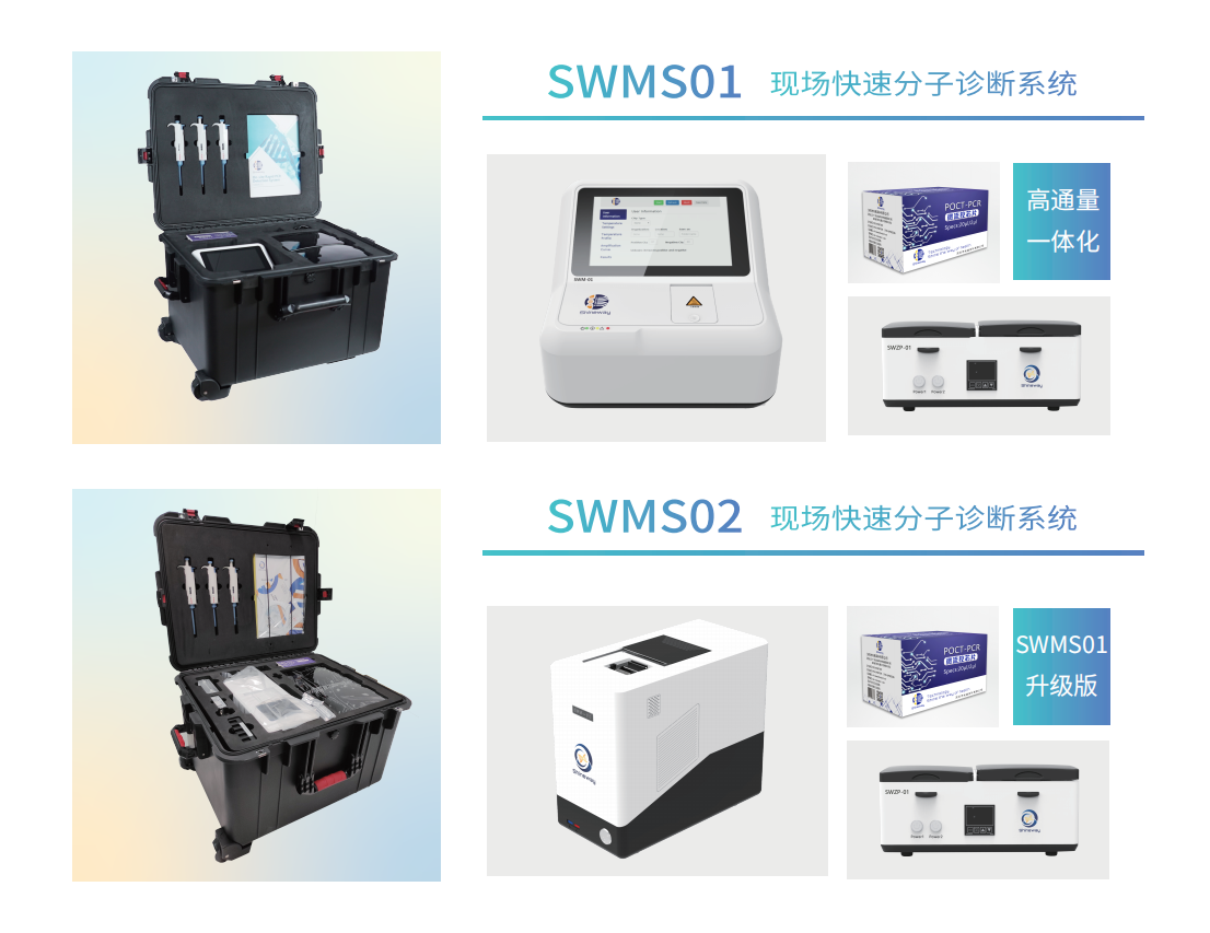 现场快速分子诊断系统